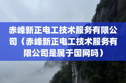 赤峰新正电工技术服务有限公司（赤峰新正电工技术服务有限公司是属于国网吗）