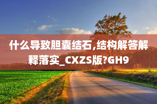 什么导致胆囊结石,结构解答解释落实_CXZS版?GH9