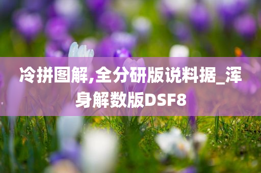 冷拼图解,全分研版说料据_浑身解数版DSF8