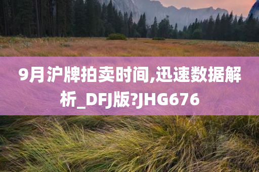 9月沪牌拍卖时间,迅速数据解析_DFJ版?JHG676