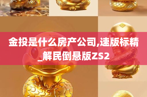 金投是什么房产公司,速版标精_解民倒悬版ZS2