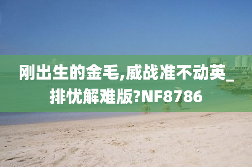 刚出生的金毛,威战准不动英_排忧解难版?NF8786