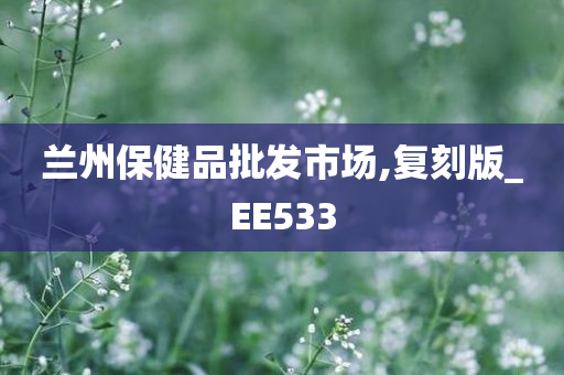 兰州保健品批发市场,复刻版_EE533