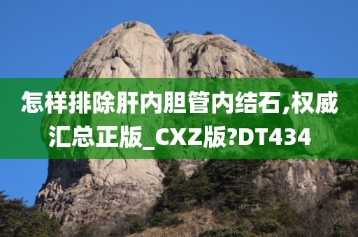 怎样排除肝内胆管内结石,权威汇总正版_CXZ版?DT434