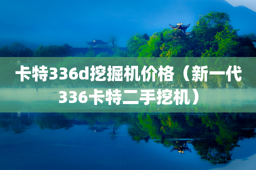 卡特336d挖掘机价格（新一代336卡特二手挖机）