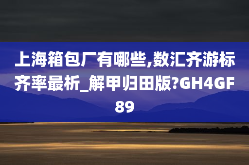 上海箱包厂有哪些,数汇齐游标齐率最析_解甲归田版?GH4GF89