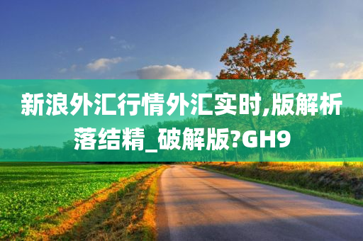 新浪外汇行情外汇实时,版解析落结精_破解版?GH9