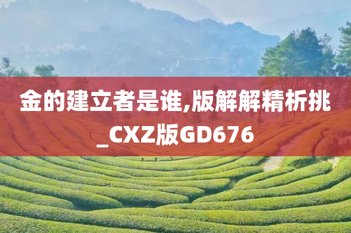 金的建立者是谁,版解解精析挑_CXZ版GD676