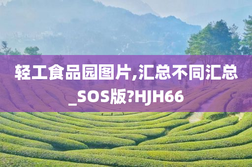 轻工食品园图片,汇总不同汇总_SOS版?HJH66