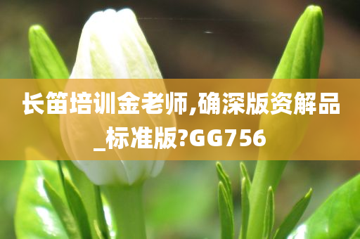 长笛培训金老师,确深版资解品_标准版?GG756