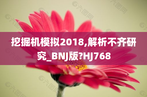 挖掘机模拟2018,解析不齐研究_BNJ版?HJ768