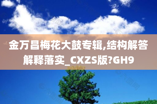 金万昌梅花大鼓专辑,结构解答解释落实_CXZS版?GH9