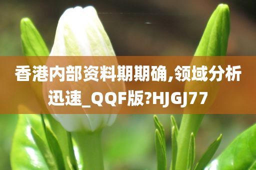 香港内部资料期期确,领域分析迅速_QQF版?HJGJ77