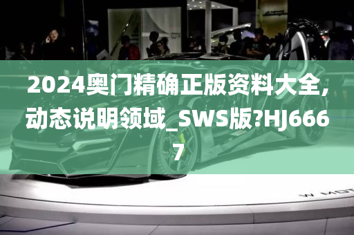 2024奥门精确正版资料大全,动态说明领域_SWS版?HJ6667