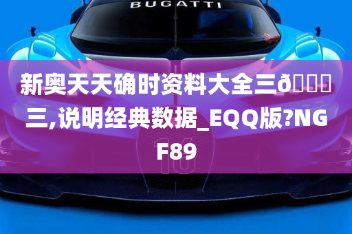 新奥天天确时资料大全三🀄三,说明经典数据_EQQ版?NGF89