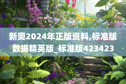 新奥2024年正版资料,标准版数据精英版_标准版423423