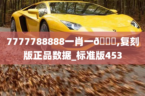 7777788888一肖一🐎,复刻版正品数据_标准版453