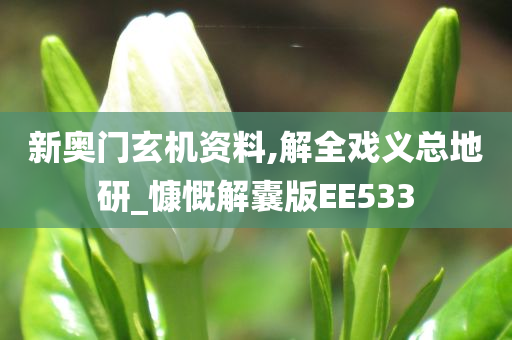 新奥门玄机资料,解全戏义总地研_慷慨解囊版EE533