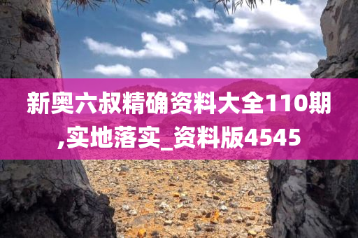 新奥六叔精确资料大全110期,实地落实_资料版4545