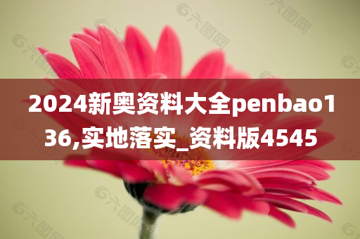 2024新奥资料大全penbao136,实地落实_资料版4545