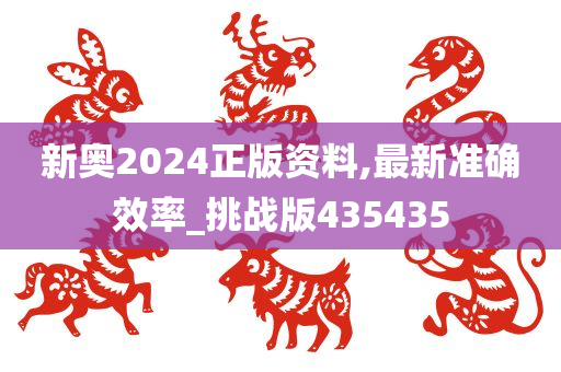 新奥2024正版资料,最新准确效率_挑战版435435