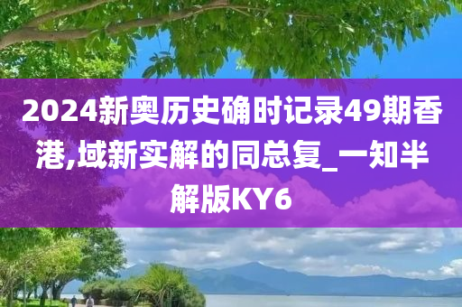 2024新奥历史确时记录49期香港,域新实解的同总复_一知半解版KY6