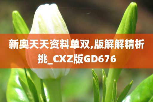 新奥天天资料单双,版解解精析挑_CXZ版GD676