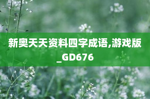 新奥天天资料四字成语,游戏版_GD676