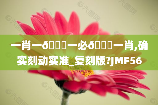 一肖一🐎一必🀄一肖,确实刻动实准_复刻版?JMF56