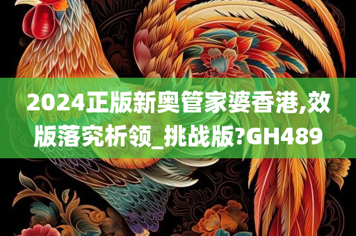 2024正版新奥管家婆香港,效版落究析领_挑战版?GH489