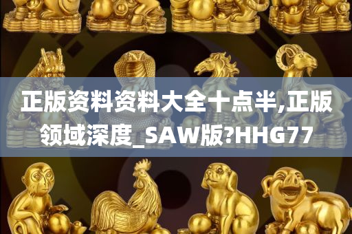 正版资料资料大全十点半,正版领域深度_SAW版?HHG77