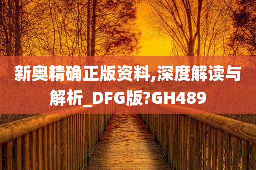 新奥精确正版资料,深度解读与解析_DFG版?GH489