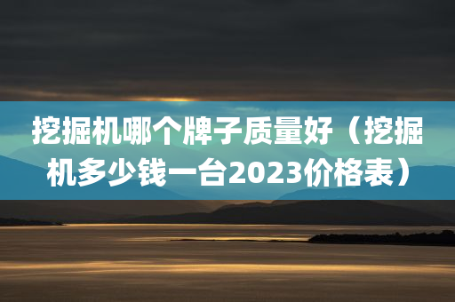 挖掘机哪个牌子质量好（挖掘机多少钱一台2023价格表）