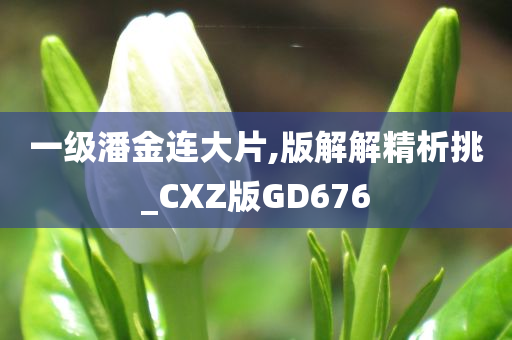 一级潘金连大片,版解解精析挑_CXZ版GD676