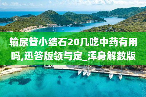 输尿管小结石20几吃中药有用吗,迅答版领与定_浑身解数版