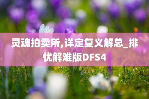 灵魂拍卖所,详定复义解总_排忧解难版DFS4