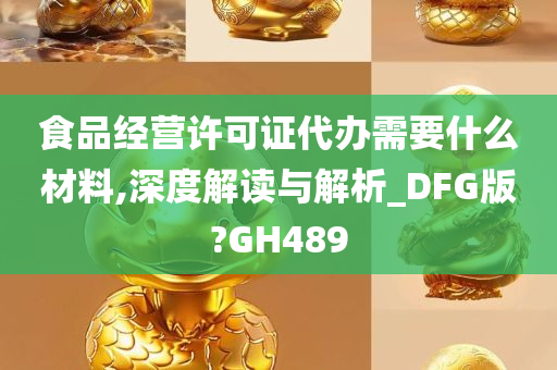 食品经营许可证代办需要什么材料,深度解读与解析_DFG版?GH489