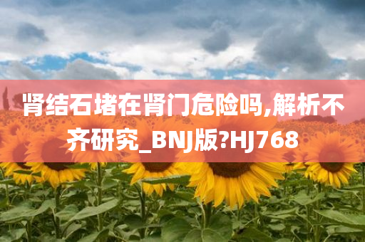 肾结石堵在肾门危险吗,解析不齐研究_BNJ版?HJ768