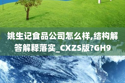 姚生记食品公司怎么样,结构解答解释落实_CXZS版?GH9