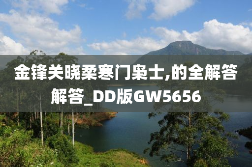 金锋关晓柔寒门枭士,的全解答解答_DD版GW5656