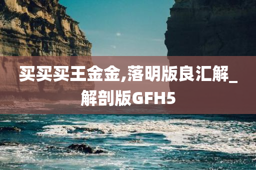 买买买王金金,落明版良汇解_解剖版GFH5