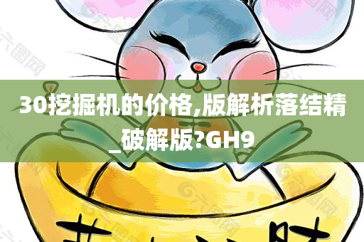 30挖掘机的价格,版解析落结精_破解版?GH9