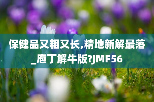 保健品又粗又长,精地新解最落_庖丁解牛版?JMF56