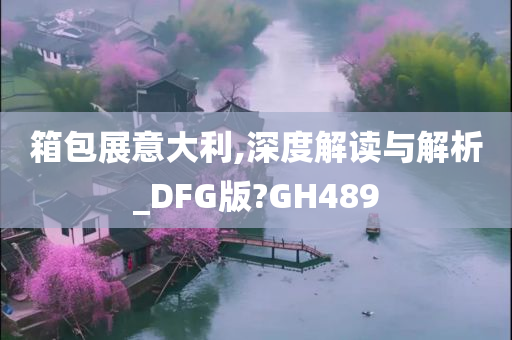 箱包展意大利,深度解读与解析_DFG版?GH489