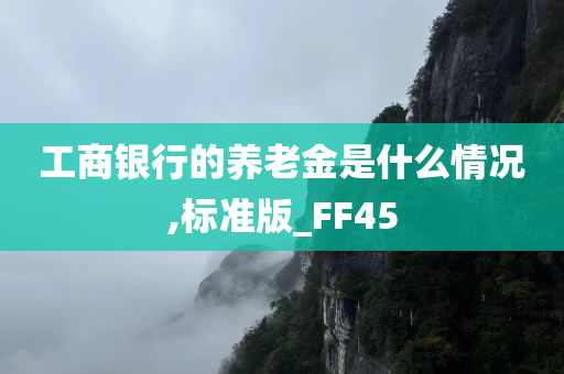 工商银行的养老金是什么情况,标准版_FF45