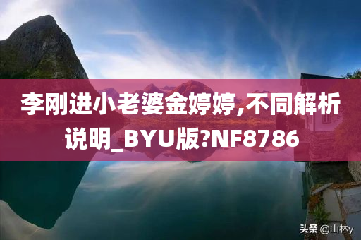 李刚进小老婆金婷婷,不同解析说明_BYU版?NF8786