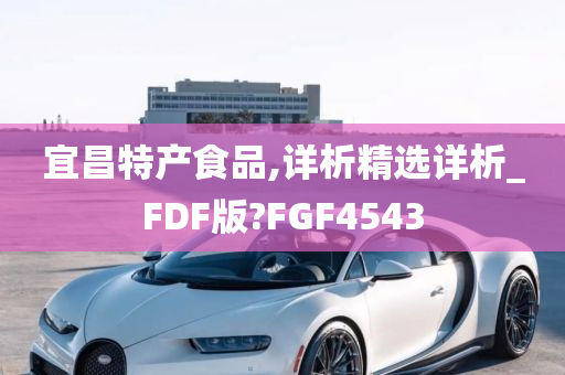 宜昌特产食品,详析精选详析_FDF版?FGF4543