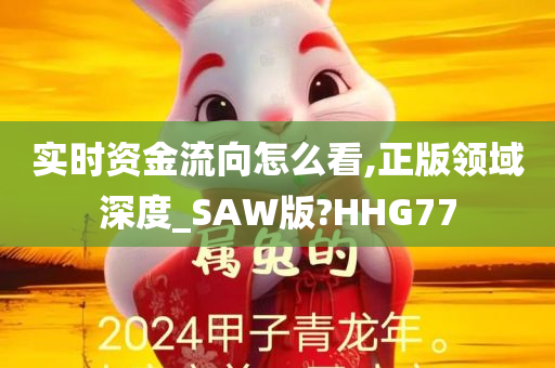 实时资金流向怎么看,正版领域深度_SAW版?HHG77