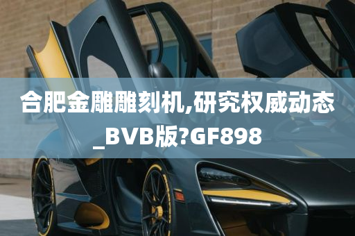 合肥金雕雕刻机,研究权威动态_BVB版?GF898