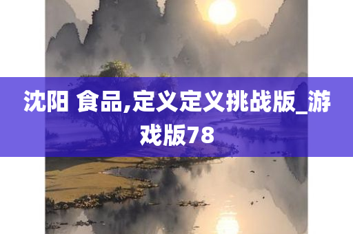 沈阳 食品,定义定义挑战版_游戏版78